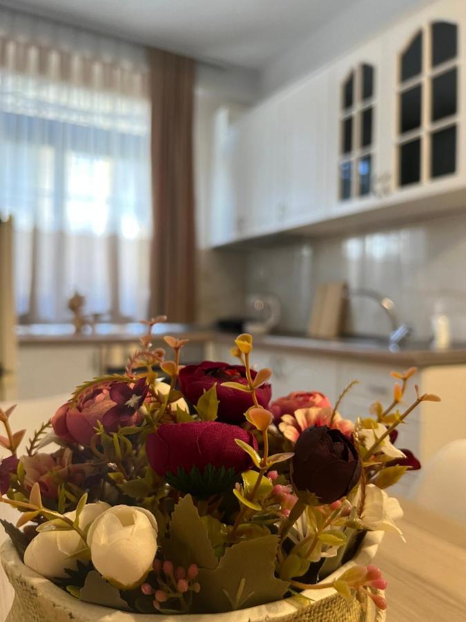 Sael Apartments Szkodra Zewnętrze zdjęcie